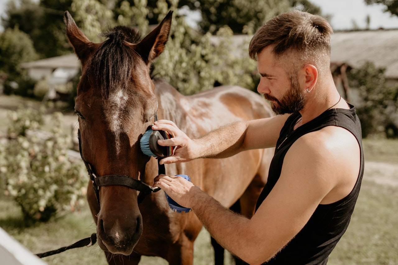 Avant de monter à cheval, il faut toujours préparer le cheval. Après la promenade, il faut le nettoyer.